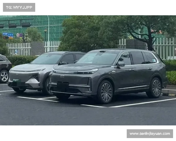你咋也叫M9?大六座SUV新黑马,预计不到20万 你咋也叫M9?大六座SUV新黑马,预计不到20万